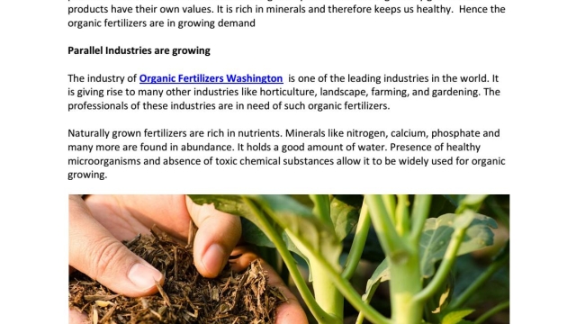 Unleashing the Power of Organic Fertilizer: A Green Thumb’s Guide